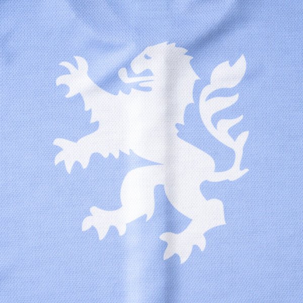 Printed short-sleeved jersey Big Lion